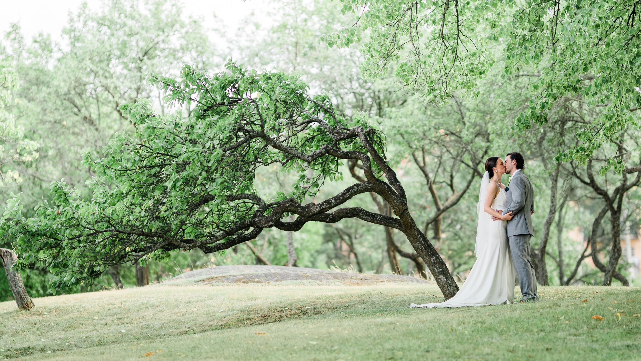 Koste Weddings – Eleganta och Känslosamma Bröllopsbilder som Fångar Er Kärlek